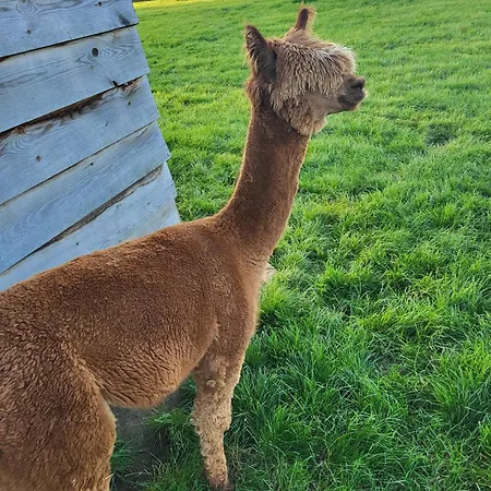 La Couture Du Charme Bed & Breakfast