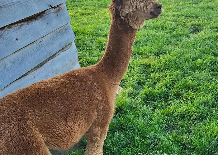 La Couture Du Charme Couette-café